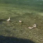 ファームステイ Il Cigno