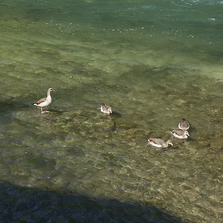 Çiftlik konaklama Il Cigno