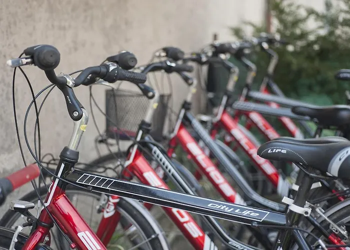 Il Cigno 农家乐 *